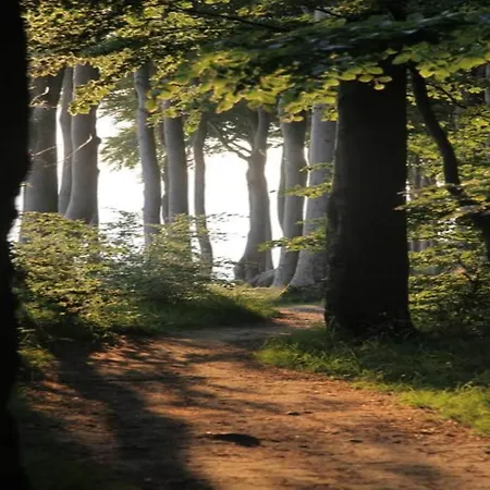 아파트 Peaceful Escape In Neu Karin