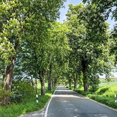 Peaceful Escape In Neu Karin Carinerland