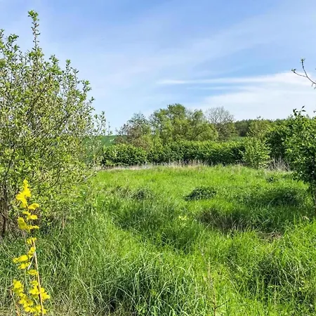 Peaceful Escape In Neu Karin 아파트