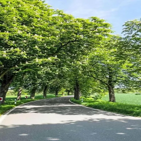 아파트 Peaceful Escape In Neu Karin *