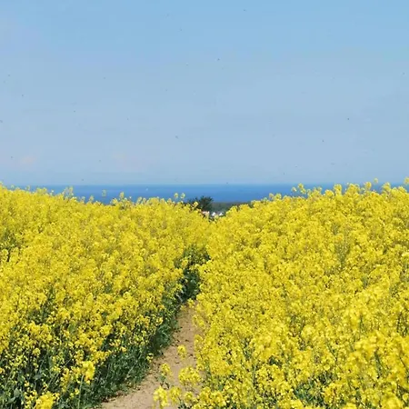 Peaceful Escape In Neu Karin 아파트 Carinerland